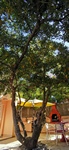 VeAn Lopar Apartments