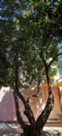 VeAn Lopar Apartments